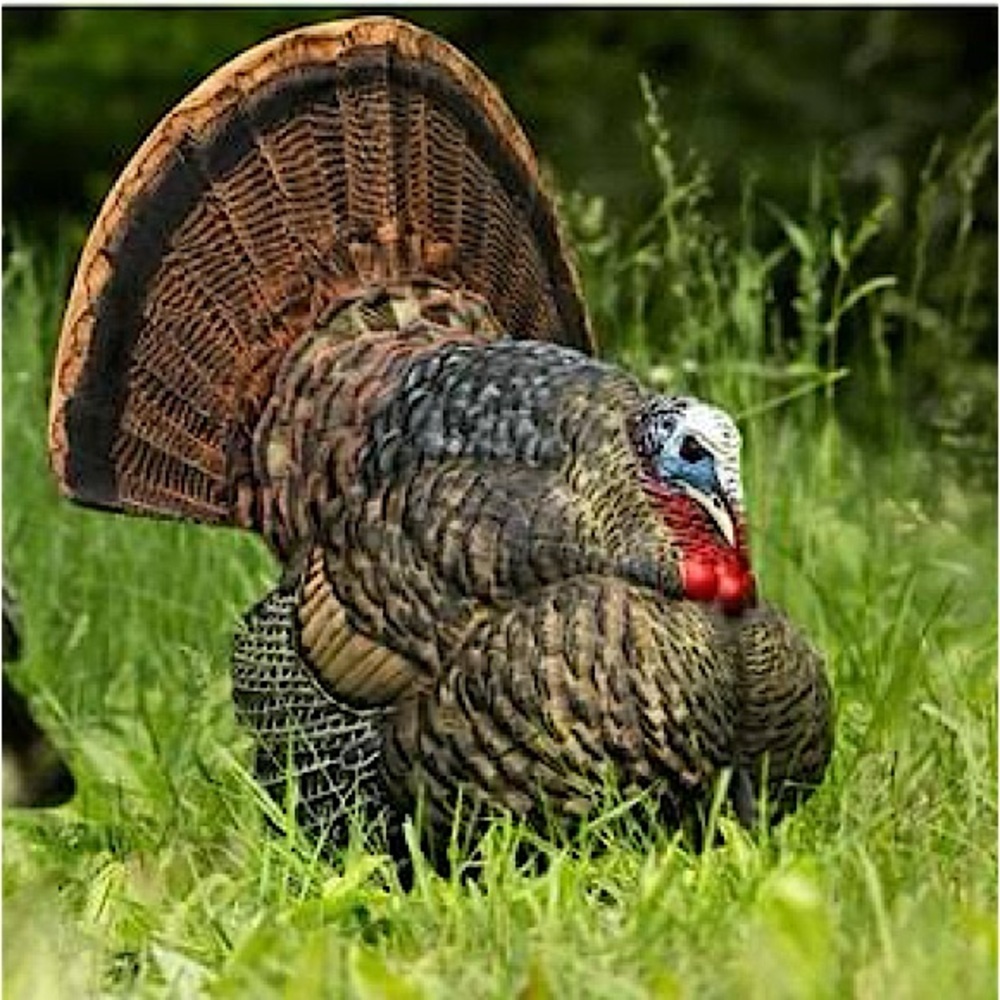 Avian-X Turkey Strutter Decoy with Carry Bag